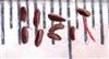  Anthers